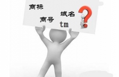 “.商標(biāo)”、“.TM”，域名商標(biāo)界的真假美猴王