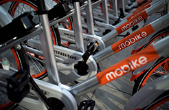 引證商標(biāo)被撤三！摩拜公司“MOBIKE”商標(biāo)注冊不具有在先注冊障礙