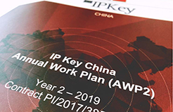 IP Key中國項目2019年度工作計劃公布！