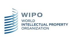 #晨報(bào)#WIPO 仲裁與調(diào)解中心成為中國國家頂級域名爭議解決機(jī)構(gòu)（自2019.8.1日起）