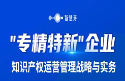 “專精特新”企業(yè)看過來！這有一份你的知產(chǎn)運營“攻略”