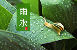 節(jié)日IP記 | 雨水：雨落 花開！