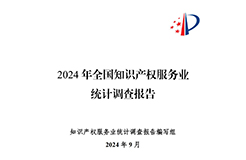 《2024年全國知識(shí)產(chǎn)權(quán)服務(wù)業(yè)統(tǒng)計(jì)調(diào)查報(bào)告》：知識(shí)產(chǎn)權(quán)從業(yè)人員人均營業(yè)收入28.9萬元/人｜附全文