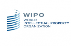 WIPO：2024年P(guān)CT專(zhuān)利申請(qǐng)總量第一的國(guó)家是中國(guó)，申請(qǐng)人榜首為華為