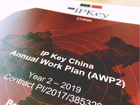 IP Key中國項目2019年度工作計劃公布！