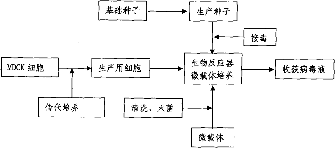 流感高峰期已到,請大家注意防范！——流感疫苗專利分析