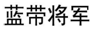 天長(zhǎng)地久，藍(lán)帶啤酒，你喝對(duì)了沒有？【 遼寧高院發(fā)布十大知識(shí)產(chǎn)權(quán)司法保護(hù)典型案例（下）】