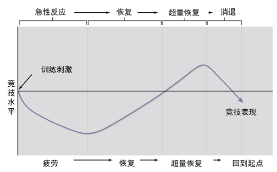 科技進步如何讓跑步更輕松：盤點那些運動黑科技