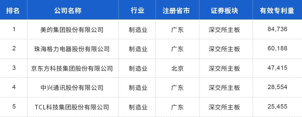 中國上市公司有效專利排行榜TOP100